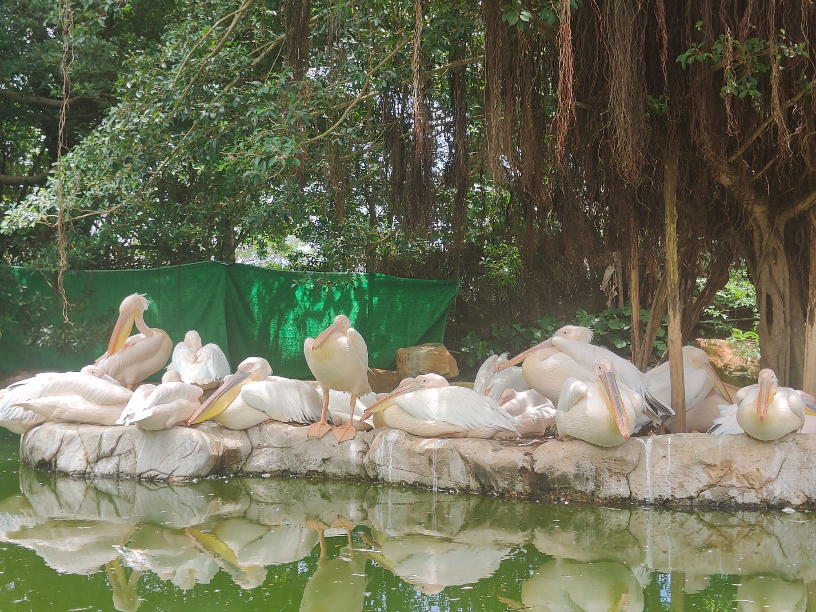 65425379.jpg 65425379.jpg